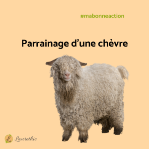 parrainage d'une chèvre angora