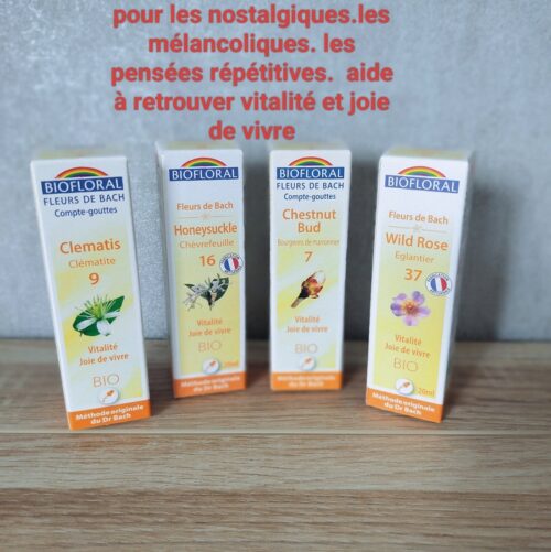 mélancolie nostalgie
